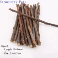 5pcs 10pcs 40pcs Chew Stick Apple Tree Branch Hamster Squirrel Natural Toys Parrots Rabbits Grinding Stick.