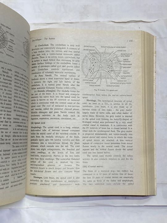 VERTEBRATES%20BY%20R.%20L.%20KOTPAL%20-%20Image%203