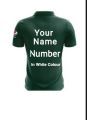 Kids Offical Pakistan cricket Kit jersy with customizable, Personalized Print Name and Number.Kids Pakistan Cricket Team T20 world cup Kit , ODI Kit World Cup Jersy with  Name and Number . A Blend of Polyester 60% cotton  40% offers A Comfortable Breathab. 