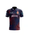 PSL 10 Cricket Jersey 2025 – BlueISB & RedISB Variants | Custom Name & Number | Premium Dry-Fit Polyester | Sublimation Print | Unisex Fan Shirt for Men & Women | Personalized Cricket Fan Apparel | Breathable & Stylish Supporter Jersey. 