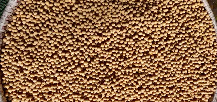 White%20Soyabean%201%20Kg%20-%20Image%203