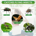 10pcs, Window Fly Traps, Ready To Use Indoors Clear. Insect, Bugs, Fly & Fruit Fly Glue Adhesive Sticky Paper - Waterproof Easy. 