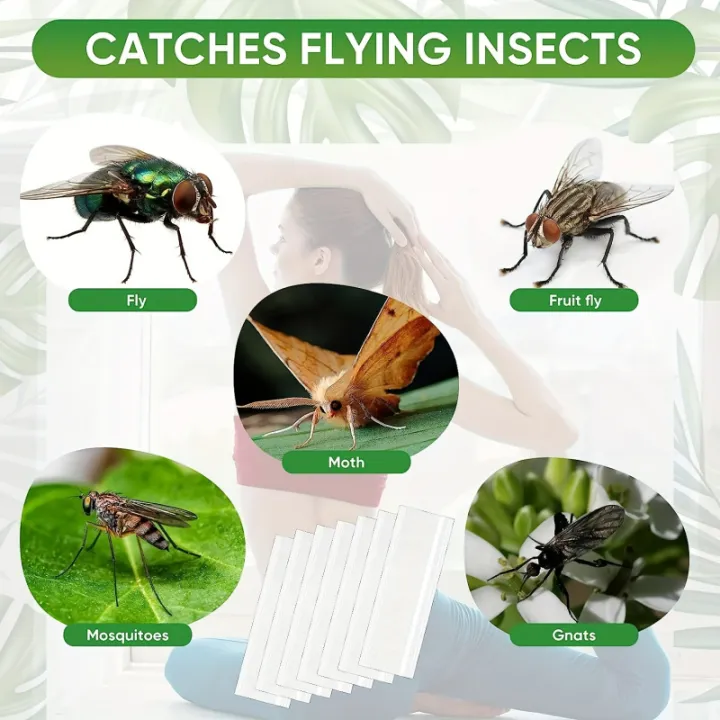 10pcs,%20Window%20Fly%20Traps,%20Ready%20To%20Use%20Indoors%20Clear.%20Insect,%20Bugs,%20Fly%20&%20Fruit%20Fly%20Glue%20Adhesive%20Sticky%20Paper%20-%20Waterproof%20Easy%20-%20Image%205