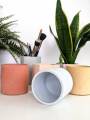 Plantable vase with a tray(2 piece combo set)Home and living room decorative.