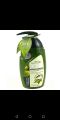 Olive Whitening Lotion || Skin Care Natural Extracted || Deep Whitening And Moisturizing Lotion || 200ml. 
