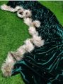 Indian Winter Velvet Shaal Chador for girls and women. 