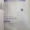 OXFORD INTERNATIONAL PRIMARY SCIENCE WORKBOOK 5 SECOND EDITION. 
