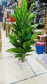 3 feet artificial floor plant. 