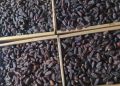 1 kg High and premium Quality Rabbi dates, Rabbae dates khajoor , Rabbai khajoor , rabee dates khajoor, rabi dates khajoor , rabia dates khajoor in 1 kg pack. 