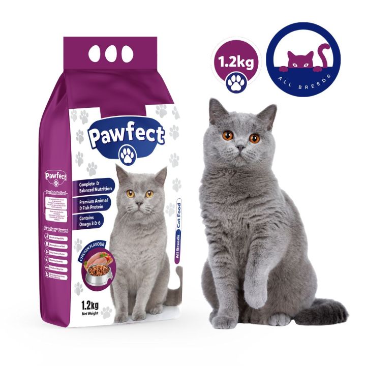 Pawfect Adult
