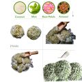 Dil Bahar Sweet Paan 36 Balls  Traditional Paan   Paan delicacy  Sweet and aromatic Paan  Digestive mouth freshener  Paan leaves  Betel leaf  Refreshing dessert  Paan flavor. 
