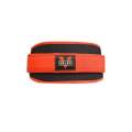 Valeo Fitness Weight Lifting Belt Barbell Dumbbell Training Back Support Weightlifting Belt Gym Squat Deadlift Powerlifting. 