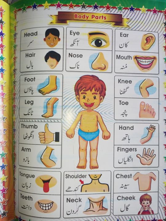 All%20in%20One%20Book%20for%20Kids-Early%20Learning%20Books%20-%20Children%20Book%20for%20Playgroup,%20Pre%20Nursery,%20Nursery,%20Starter%20and%20Kg%20Classes%20-%20Childrens%20Early%20Learning%20books%20-%20Children%20Home%20Schooling%20Books%20-%20Image%209