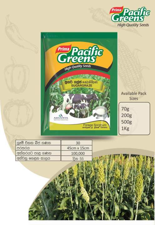 Prima%20Pacific%20Greens%20%E2%80%93%20Sugargraze%20Seeds%20Cow%20Feed%20(Forage%20Sorghum/Grass)%20-%20Image%202