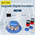 8 Eggs Intelligent Fully Automatic incubator ac dc 40w. 