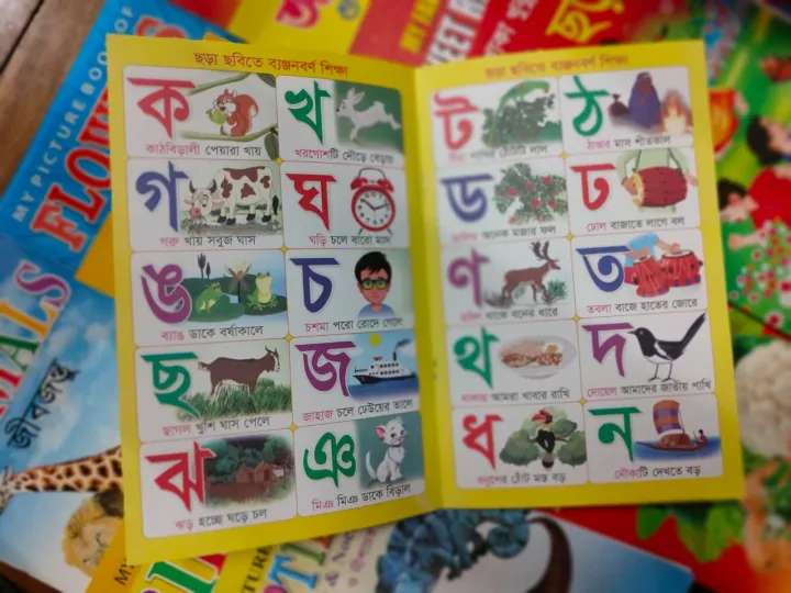 %E0%A6%9B%E0%A7%8B%E0%A6%9F%20%E0%A6%AC%E0%A6%BE%E0%A6%9A%E0%A7%8D%E0%A6%9A%E0%A6%BE%E0%A6%A6%E0%A7%87%E0%A6%B0%20%E0%A6%AA%E0%A7%8D%E0%A6%B2%E0%A6%BE%E0%A6%B8%E0%A7%8D%E0%A6%9F%E0%A6%BF%E0%A6%95%E0%A7%87%E0%A6%B0%20%E0%A6%AA%E0%A6%A1%E0%A6%BC%E0%A6%BE%E0%A6%B0%20%E0%A6%AC%E0%A6%87%20(%E0%A6%8F%E0%A6%95%20%E0%A6%B8%E0%A7%87%E0%A6%9F%20%E0%A7%A7%E0%A7%AA%20%E0%A6%9F%E0%A6%BF)%20-%20Image%206