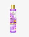 Purple Shampoo Silver Expressions & Brilliant Blondie. 