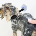 Pet Bath Fixation Strap with Sucktion Cup Cat Dog Shower Restraint Leash Anti Scratch Escaping Leash Pet Bathing Grooming Tool. 