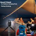 Mini LED Keychain Flashlights Multifunctional Portable COB Work Light USB Charging Camping Lamp Outdoor Torch Fishing Lantern. 