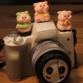 Cute Cartoon Animal Hot Shoe Cover ABS Resin Dustproof Cap for DSLR Mirrorless. Durable Stylish Camera Decoration Accessory.