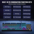 Original HP Blue Switch Mechanical Gaming Keyboard Wired USB With RGB Backlight 104 Key By FunBug Board. 