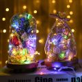 Battery Operated Mini Fairy String Lights – 50 LEDs, 5m Decorative Party & Home Decor Lighting. 