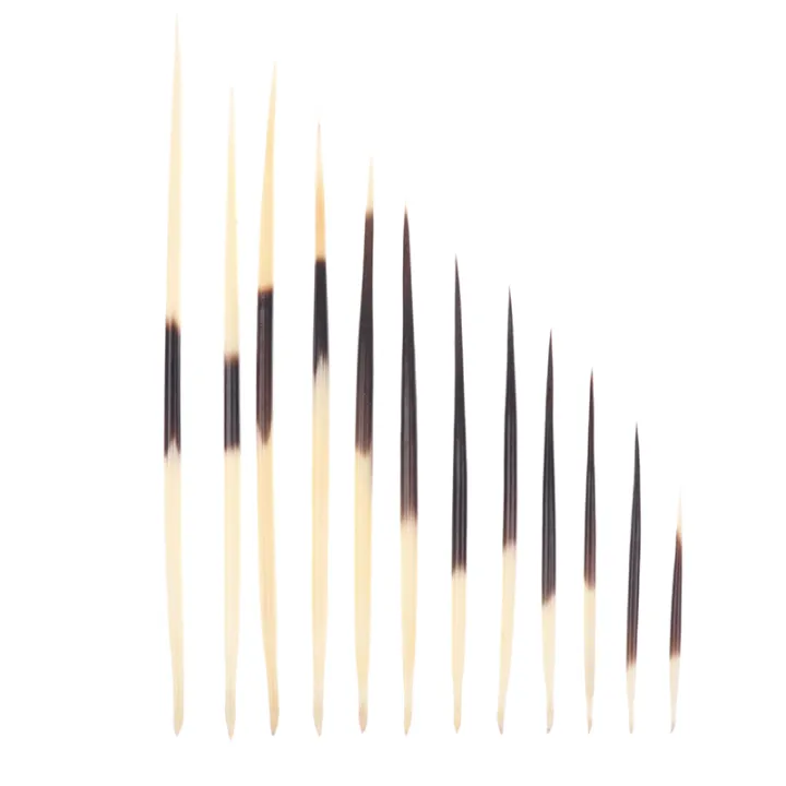 Hot%20Sale%20Porcupine%20Quills%20Hair%20Stick%20Fishing%20Buoy%20DIY%20Natural%20Bone%20Jewelry%20Hairpin%20Indian%20Crafts%20Accessories%20-%20Image%206