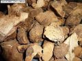 qast e shireen / qasty shireen / 100 % natural / 100 GM / قسط شیریں. 