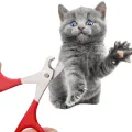 Cat nail clippers for Small Dog Cat Professional Puppy Claws Cutter Pet Nails Scissors Trimmer Grooming and Care Cat Accessories. 
