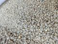 Islamabad poultry feed Broiler breeder starter chicken poultry feed no 14. 