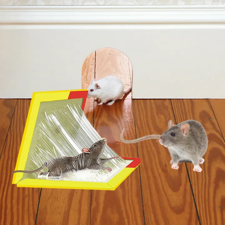 Mouse%20Sticky%20Traps%20Board%20Rat%20Glue%20Mouse%20Glue%20Board%20Mice%20Catcher%20Trap%20Non-toxic%20Pest%20Control%20Reject%20Mouse%20Killer%20Rat%20Traps%20-%20Image%202