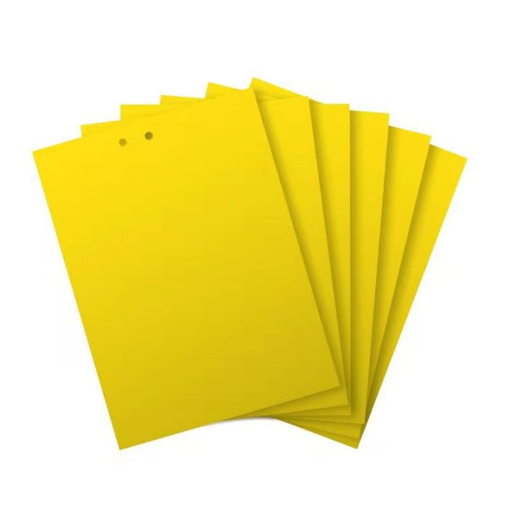 10pcs%20Strong%20Fruit%20Fly%20Traps%20Bugs%20Yellow%20Sticky%20Board%20Pest%20Control%20Insect%20Killer%20Two-sided%20Glue%20Paper%20Trap%20for%20Kill%20Pests%20-%20Image%204