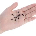 M2 M2.5 M3 KM Screw Flat Head Phillips Screw for Repair Computer Electronics Laptop Screw Kit Home Small Screw. 