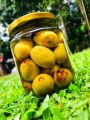 Brine Ceylon Olive, Ceylon Olive , Fruit , Brine Fruit , Fruit sri lanka, ceylon fruit , ceylon , olive,. 
