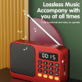 Handheld Rechargeable Digital FM USB TF MP3 Player Portable Radio Music Player Speaker Devices Supplies With LED Display Radio.