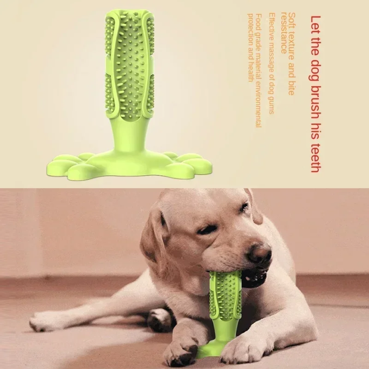 Pet Dog Cactus Interactive  Chew Toys For Small Large Dogs Tooth Cleaning Toothbrush For Medium Large Dogs Treat Dispenser