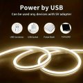 Touch Sensor Neon LED Strip Light Dimmable Waterproof Flexible LED Neon Sign Light Tape 5V USB Lighting Lamp For Room Decoration. 