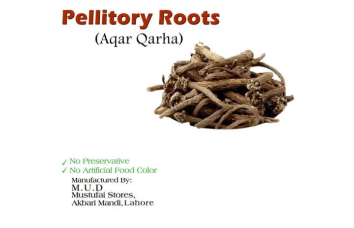 Aqar%20Qarha%20Powder%20(Pellitory%20Root%20/%20Akarkara)%20-%20Unani%20Nervine%20Tonic,%20Aphrodisiac%20&%20Dental%20Care%20Powder%20-%20Image%204