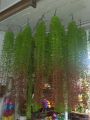 Artificial Lota or creeper 1 pieces green red mix colour with hanger free unique model for room and wall decorations.. 