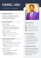 Customized Professional Designer CV, Resume, Curriculum vitae. 