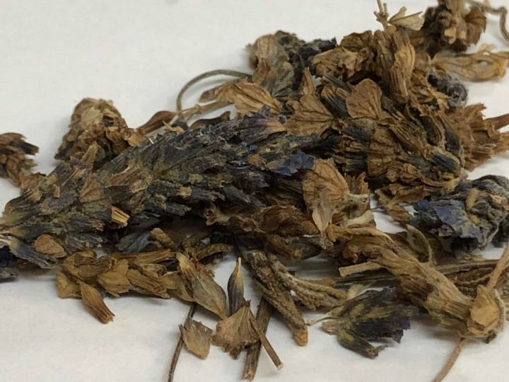 Dry%20Lavender%20Leaves%20%20%D9%84%DB%8C%D9%88%DB%8C%D9%86%DA%88%D8%B1%20%DA%A9%DB%92%20%D8%AE%D8%B4%DA%A9%20%D9%BE%D8%AA%DB%92%20%20%20(%D8%A7%D8%B3%D8%AE%D8%B7%D9%88%D8%AF%D8%B3)%20%20Best%20Quality%20100%20%25%20Natural%20Dried%20Herb%20110%20gm%20-%20Image%204