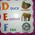Kids First Learning Books pack of 3 Abc,123, urdu alphabets. 