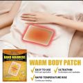 2 PC's Hand Warmers Foot Warmers Patch for winter Cold Heating Pads Warm Patches for outdoor Travel Snow Winter Hot Patches. 