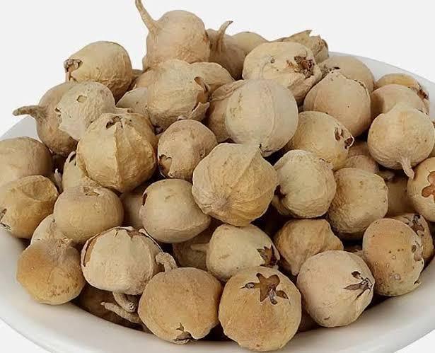 Paneer%20Booti%20%E2%80%A2%20Paneer%20Dodi%20%E2%80%A2%20Paneer%20Boti%20Net%20wt%20500%20gm%20-%20Image%202