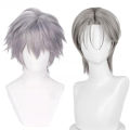 Anime Till Cosplay Wig Alien Stage Silver Grey Heat Resistant Synthetic Hair Stage Show Conmic-Con Christmas Holloween Wigs.