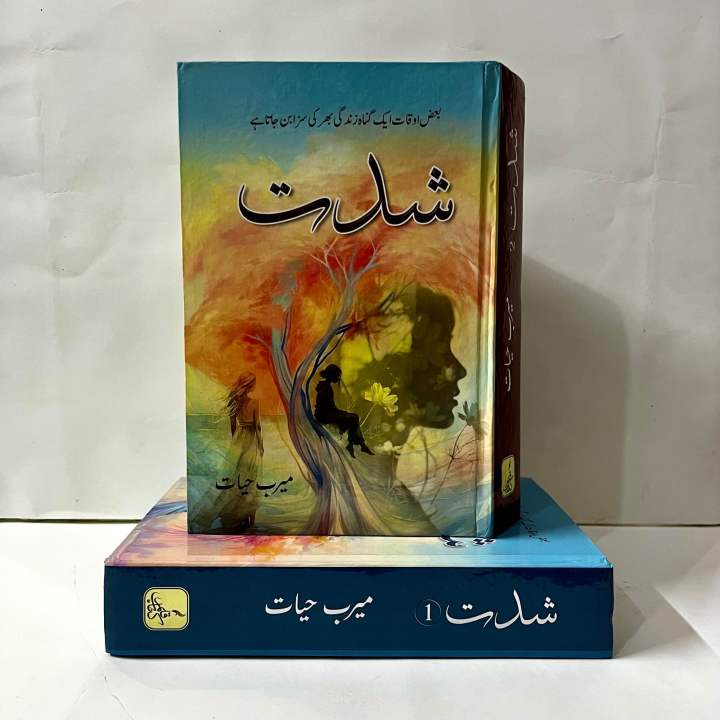 Shiddat (Novel) by Meerab Hayat - 2 Part Complete Set