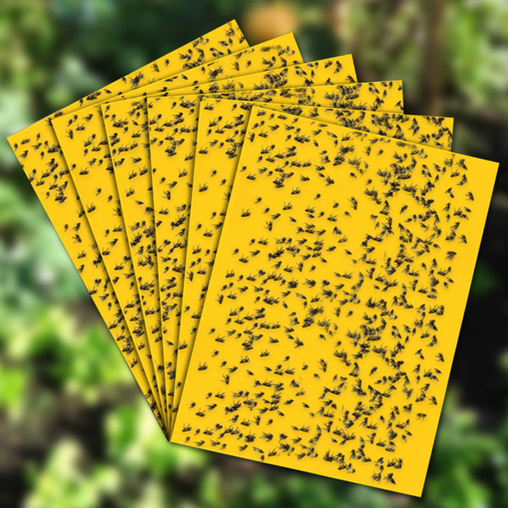10pcs%20Strong%20Fruit%20Fly%20Traps%20Bugs%20Yellow%20Sticky%20Board%20Pest%20Control%20Insect%20Killer%20Two-sided%20Glue%20Paper%20Trap%20for%20Kill%20Pests%20-%20Image%203