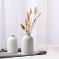 Home decorative vase bottle neck mini vase.