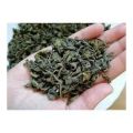 Peshawari Qehwa dry 100gm(premium quality of A&AA store). 