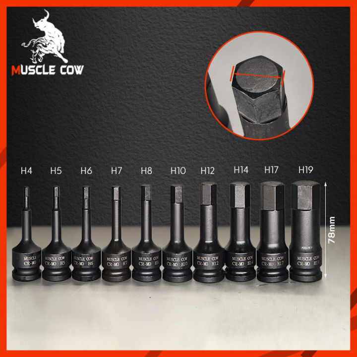Muscle%20cow%201/2%20hex%20Popper%20block%2010%20PCs%20steel%20CR-MO%20tools%20set%20-%20Image%205
